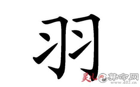 有羽的名字|带羽字好听的名字大全